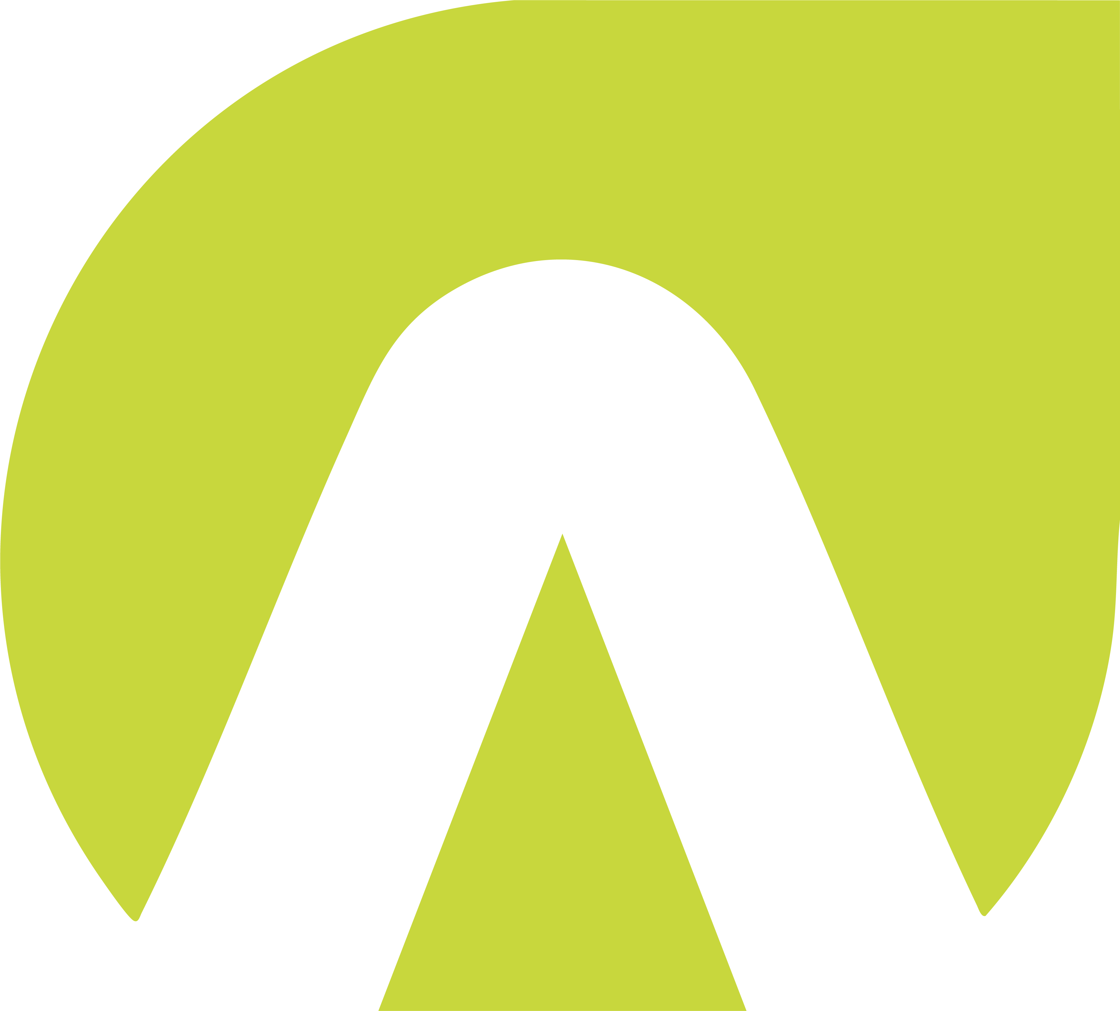 ANAPRINT